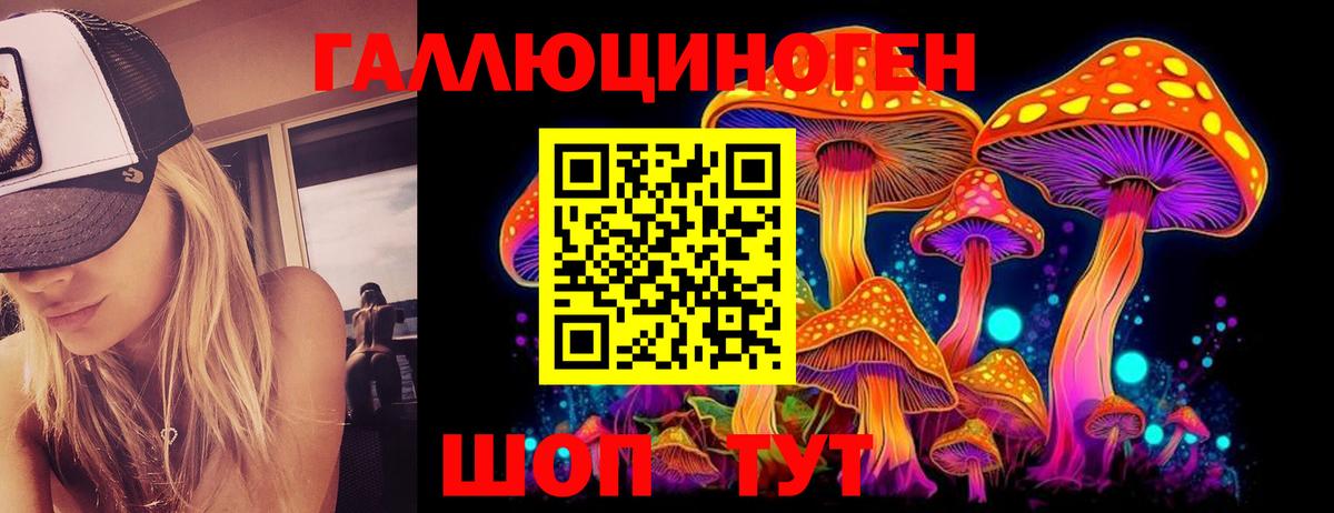 Малоярославец  Псилоцибиновые грибы Psilocybine cubensis  Вход с VPN 